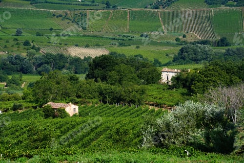 Preview: Country landscape near Lanciano, Abruzzo, Italy