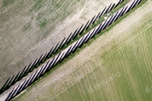 Preview: Aerial photographic documentation of a cypress road