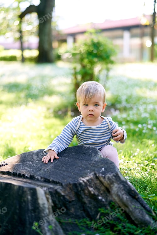 Preview: Kid sits on a green lawn near a large old tree stump