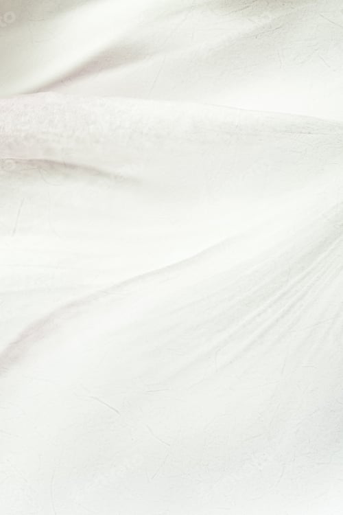 Preview: Sweet Color Lotus Petals In Soft Color And Blur Style On Mulberry Paper Texture
