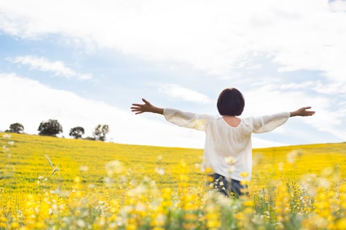 Preview: Woman in yellow field