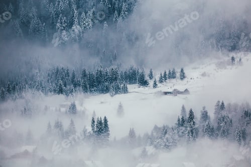 Preview: Winter postcard.