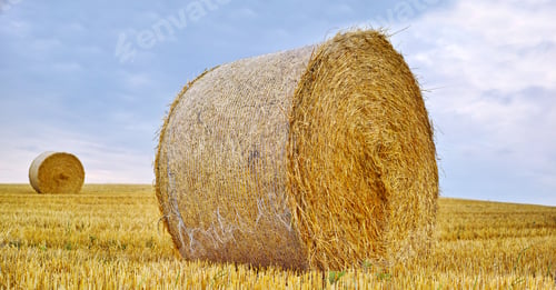 Preview: Harvest and round bales - Denmark