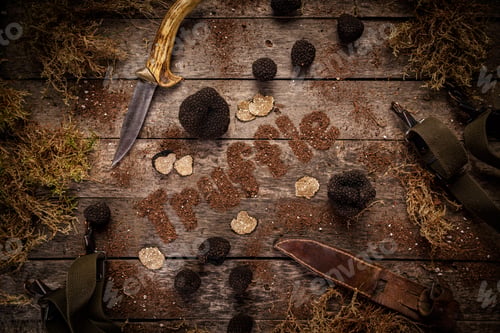 Preview: Black truffles mushrooms