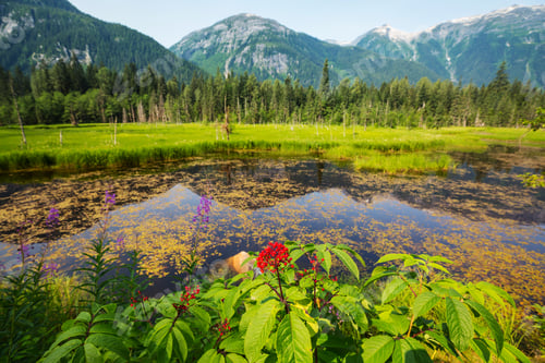 Preview: Summer mountains