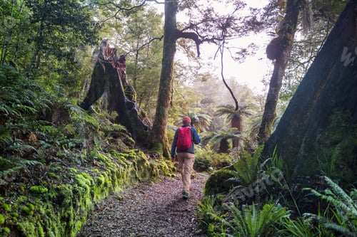 Preview: Tramping