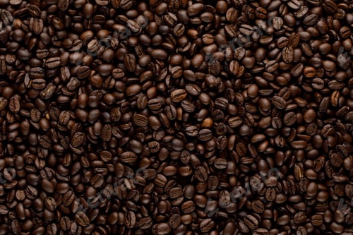 Preview: Coffee beans background. Macro texture