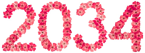 Preview: Inscription 2034, from natural red flowers of periwinkle, isolated on white background