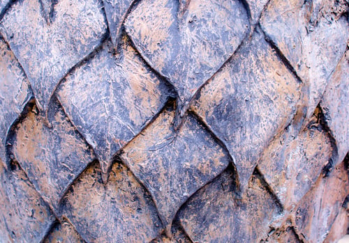 Preview: Steal leaf texture background