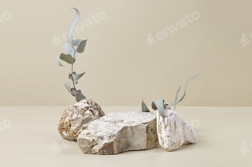 Preview: Nature scene with composition of stones and dry eucalyptus leaves