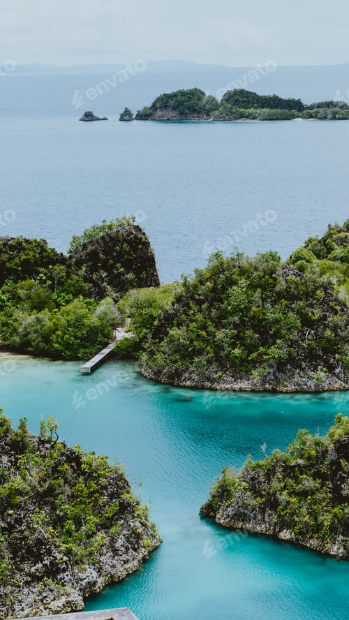 Preview: Close up of small jetty between Pianemo island overgrown with jungle plants, surrounded by shallow