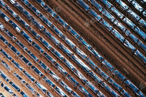 Preview: Top down aerial shot of watermelon plantation with plastic sheeting hothouse equipment