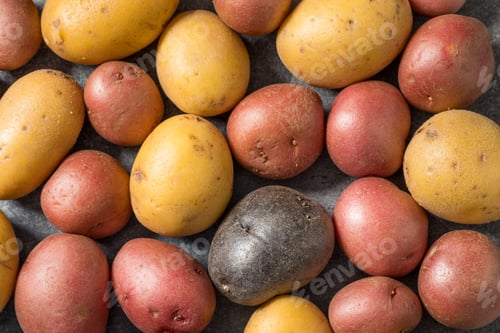 Preview: Healthy Raw Mini Multicolored Rainbow Potatoes