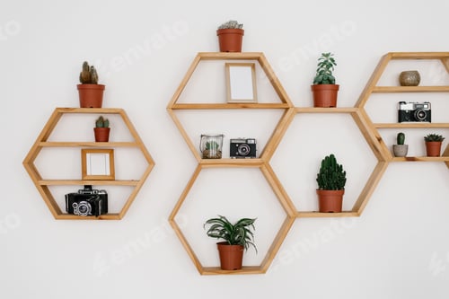 Preview: Wooden Hexagon Shelf on Light Wall. Potted Houseplants, Photo Frames, Retro Cameras