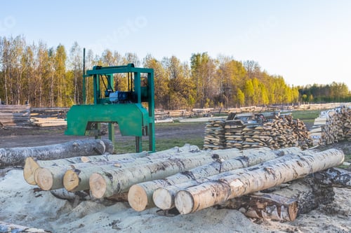 Preview: A small sawmill for processing wood in the countryside. Aspen logs.