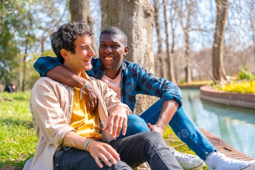 Preview: Couple of multiethnic gay men talking quietly in the park, lgbt concept