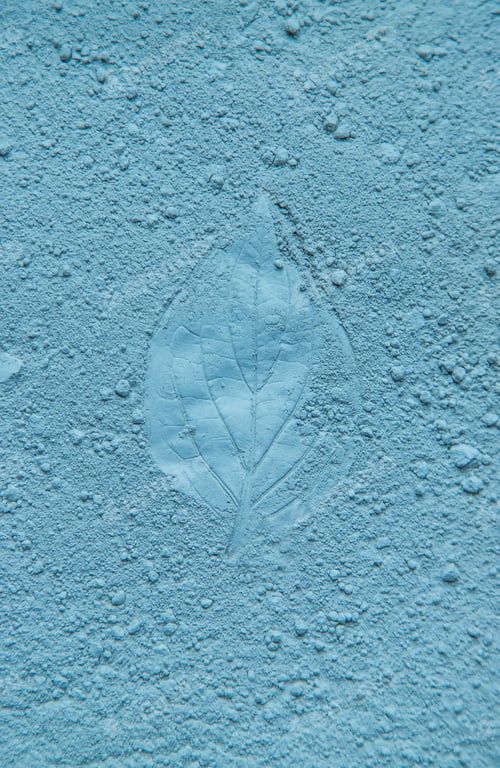 Preview: Leaves imprint on green powder. Natural cosmetic. Selective focus.