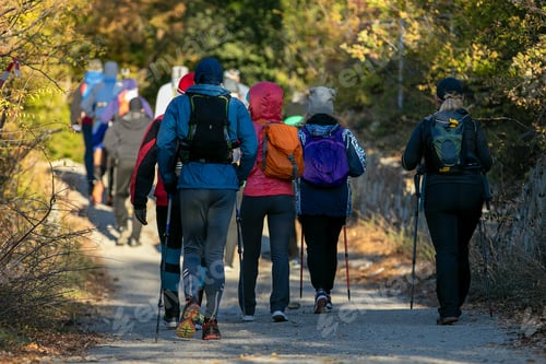 Preview: Large group people with nordic walking poles