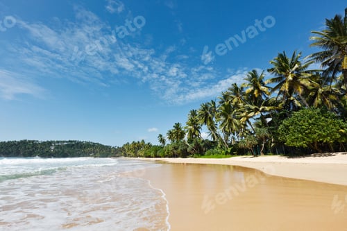 Preview: Idyllic beach. Sri Lanka