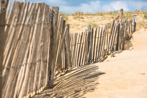 Preview: Wooden fence on Atlantic beach in France