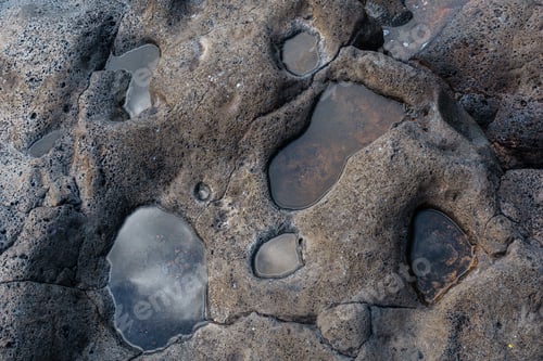 Preview: Detail of the volcanic stones in Charco Manso on the island of El Hierro. Canary Islands