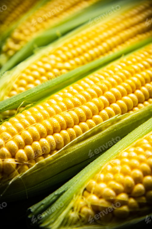 Preview: Fresh corn on cutting board.
