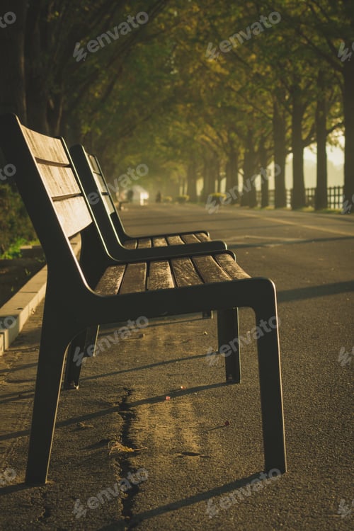 Preview: Vertical shot of a wooden bench under the trees captured in Asan, South Korea