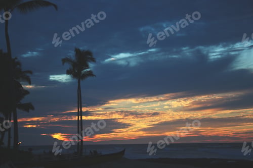 Preview: Tropical vibes in the beach. Silhouettes. Sunset. Kayak. Palm trees. Cloudy sky.