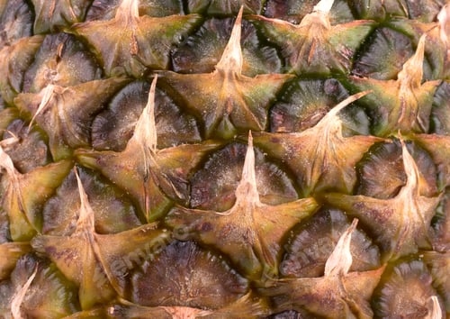 Preview: Pineapple background closeup