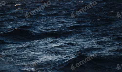 Preview: Dark and stormy open water surface