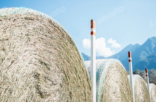 Preview: Baled hay under a clear blue sky with mountains in the background.