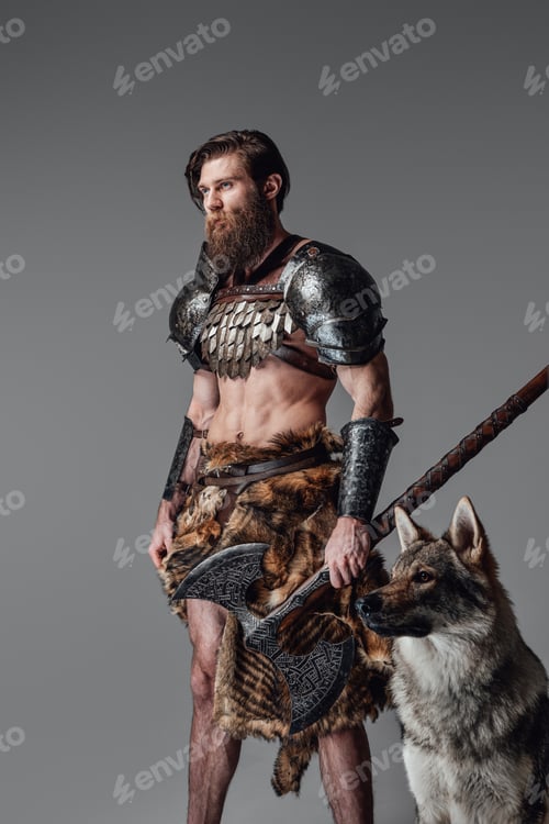 Preview: Powerful viking with axe and wild wolf moving away in gray background