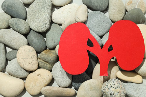Preview: Kidneys on the sand with stones, National Kidney Month.
