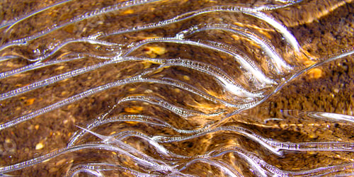 Preview: Micro Ice Waves, Sierra de Guadarrama National Park, Spain