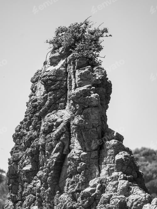 Preview: some rocks that are very tall and have plants growing on them
