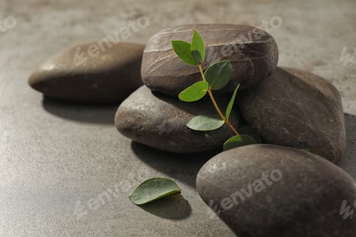 Preview: Spa stones with eucalyptus on color background