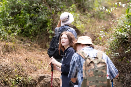 Preview: Group of friend on a sunny day in the forest Young group hiker with backpack and trekking poles
