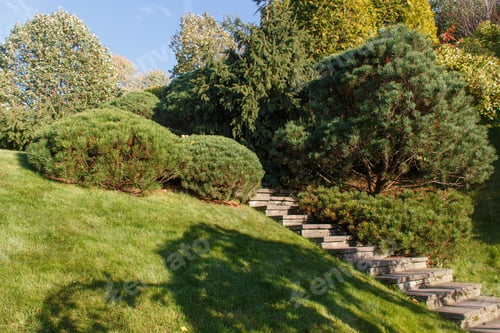 Preview: Cottage garden with green lawn, trees and trimmed bushes.