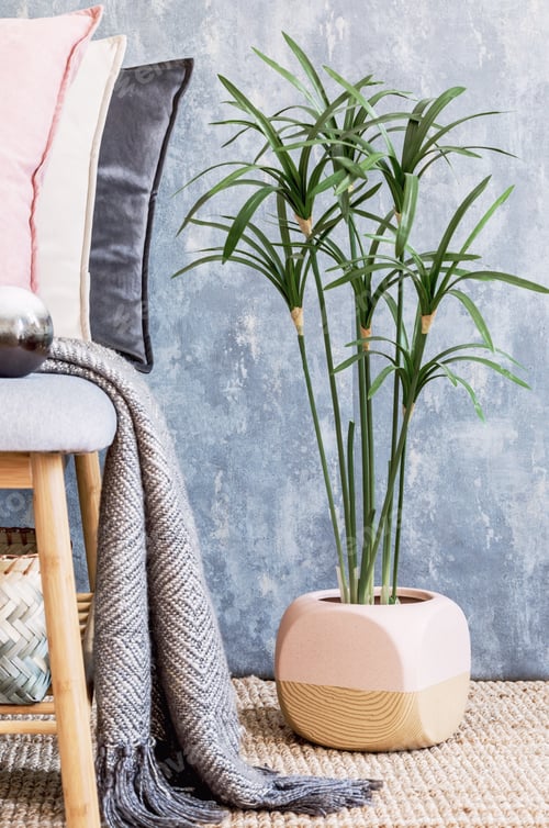 Preview: Stylish composition of cozy living room interior details and colourful classy pillows.