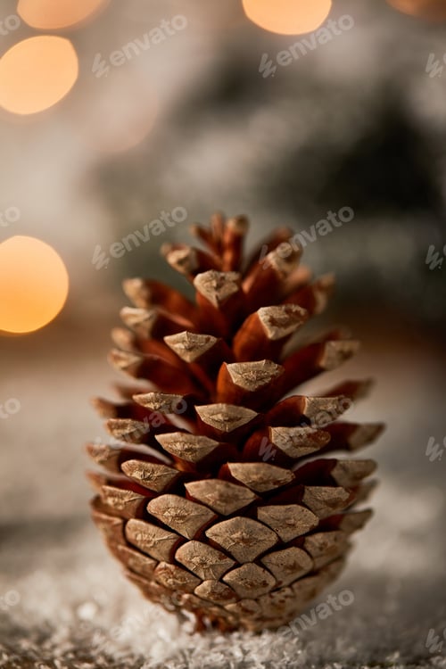 Preview: close up of pine cone on snow with christmas lights bokeh