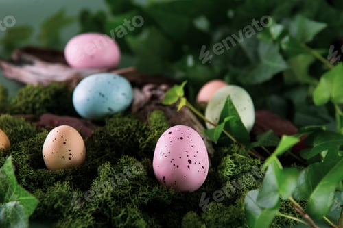 Preview: colorful Easter eggs in a moss and woods forest background. Happy Easter holiday hunt