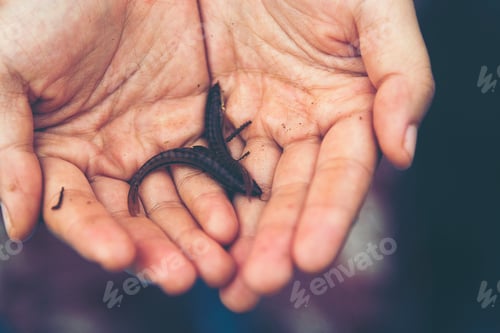 Preview: fish in human hand