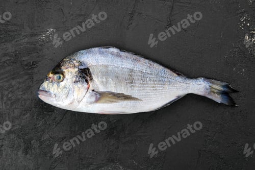 Preview: Dorada fish on black stone table