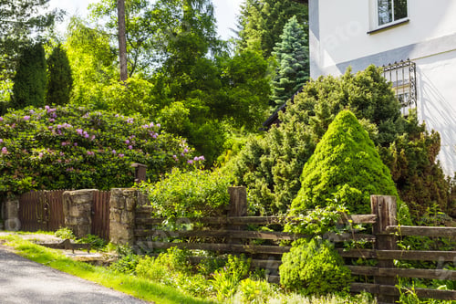 Preview: Fenced Backyard garden
