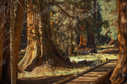 Preview: Giant Sequoias Trailheads