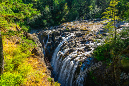 Preview: Englishman river falls cascading through lush forest in summer on vancouver island