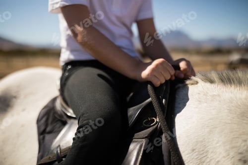 Preview: Child sitting on the horse back
