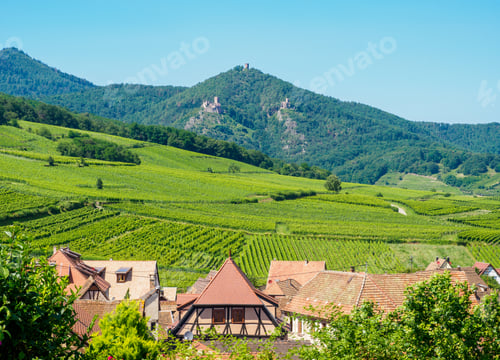 Preview: Hunawihr village and surrounding vineyards, Alsace, France