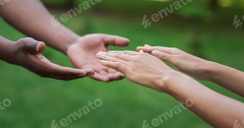 Preview: Diverse male and female hands stretch to each other