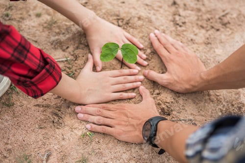Preview: Men and women help grow trees.